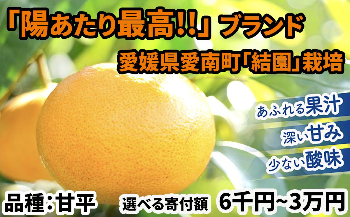
                  甘平 みかん 陽あたり最高【農家直送】＜愛媛限定種＞（濃い甘み/たっぷり果汁/少ない酸味）6千～3万円 ミカン 西之香 と ポンカン の交配種 有名 高級 人気 訳あり かんぺい 蜜柑 柑橘 果物 フルーツ 国産 愛媛 愛南町 結園
                