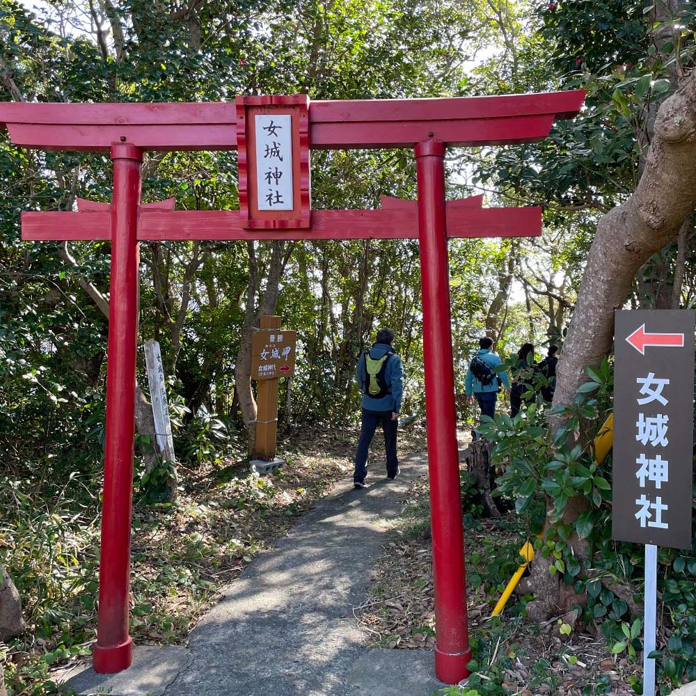 松尾地区 集落歩きツアー 1人分 観光 地元ガイド付き チケット アコウ 松尾天満宮 足摺半島 家族旅行 旅行 国内旅行 自然 神社 文化 徒歩 高知県 高知 土佐清水市【R01504】