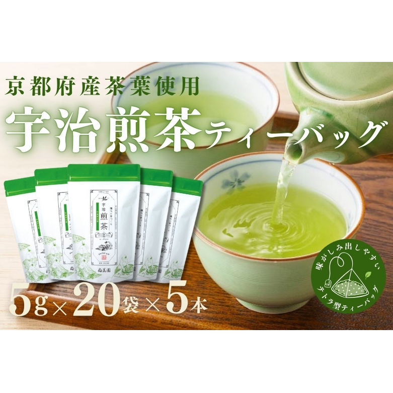 宇治・煎茶ティーバッグ 5g×20個×5袋〈お茶 茶 煎茶 緑茶 かぶせ茶 飲料 ティーバッグ 煎茶ティーバッグ ティーパック 宇治茶 日本茶 加工食品〉