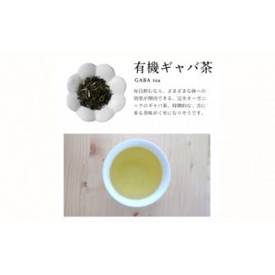 ふるさと納税 臼杵市 美味しく健康的にお茶を楽しみたいならコレ!有機GABA茶(50g×3袋) |  | 01