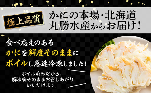 量が選べる！本ズワイガニ 肩肉 500g カニ用フォーク付き！ ギフト