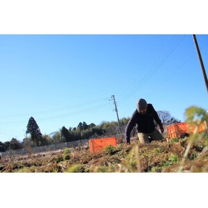 ≪畑から直送≫旬の野菜10種セット【配送不可地域：離島】【1290013】