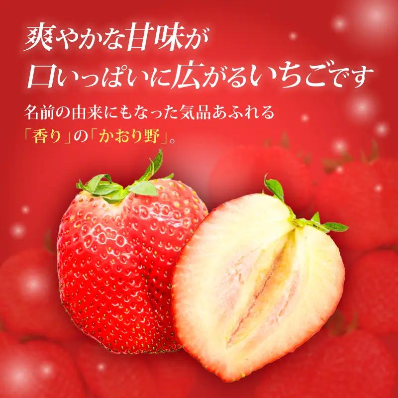 【2027年1月～発送予定】いちご かおり野 約270g×2パック drm005