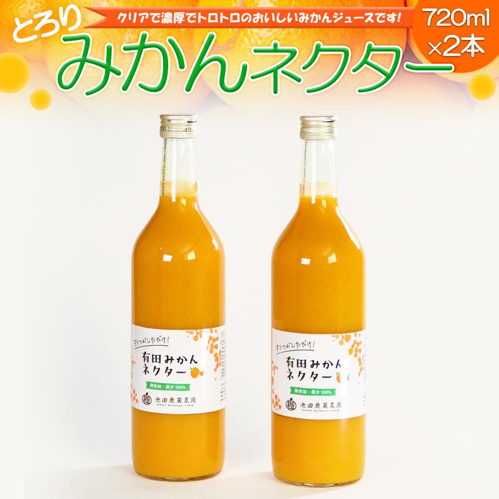 【ふるさと納税】とろり　みかんネクター720ml×2本 | フルーツ 果物 くだもの 食品 人気 おすすめ 送料無料