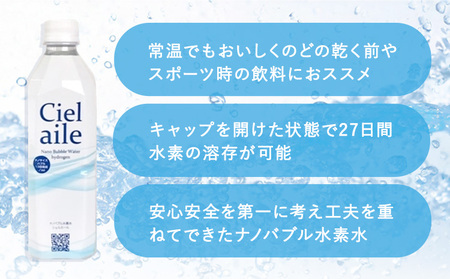  ナノバブル水素水 ペットボトル 約500ml 48本 株式会社ヒロシバ《30日以内に出荷予定(土日祝除く)》大阪府 羽曳野市 送料無料 水素水 肌 美容 健康 水