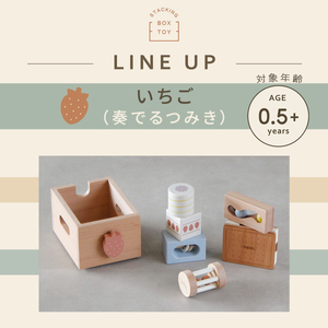 HOPPL（ホップル） スタッキングボックストイ いちご（奏でるつみき） メッセージプレートB（名入れを希望する）