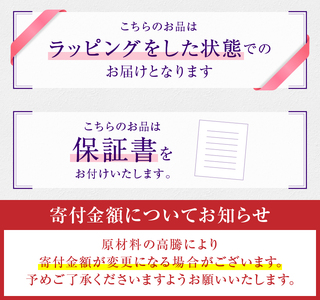 ネックレス 天然ダイヤ 1.0ct【プラチナ900】ｎ-161（KRP）Q1-1410【ジュエリー ネックレス ペンダント 人気 ネックレス ペンダント 高級 プラチナ ジュエリー ダイヤモンド ネッ