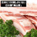 【ふるさと納税】国産 高級「梅山豚」豚バラ ブロック 650g ｜肉 豚肉 ブランド豚 バラ 茨城