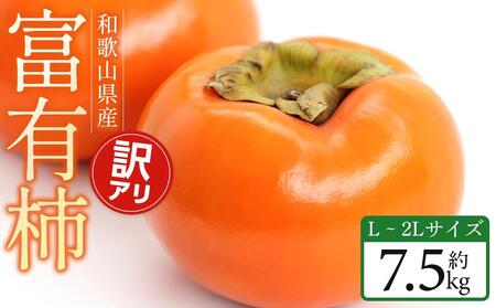 【2026年11月中旬～発送】和歌山県産 訳あり 富有柿 7.5kg L ~ 2L サイズ ご家庭用 柿 選果場 直送