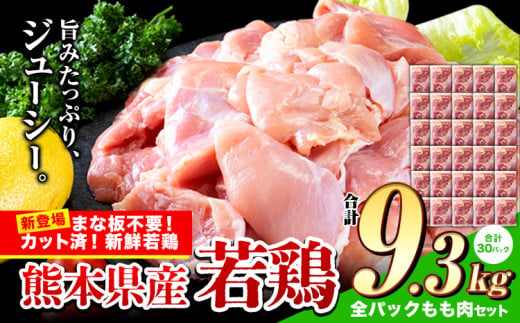 鶏肉 小分け 鶏肉 もも モモ カット済 若鶏 9.3kg 《7-14日以内に出荷予定(土日祝除く)》