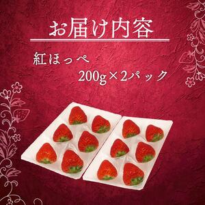 いちご 紅ほっぺ 400g 【 紅ほっぺ 】 計2パック 苺 イチゴ べにほっぺ