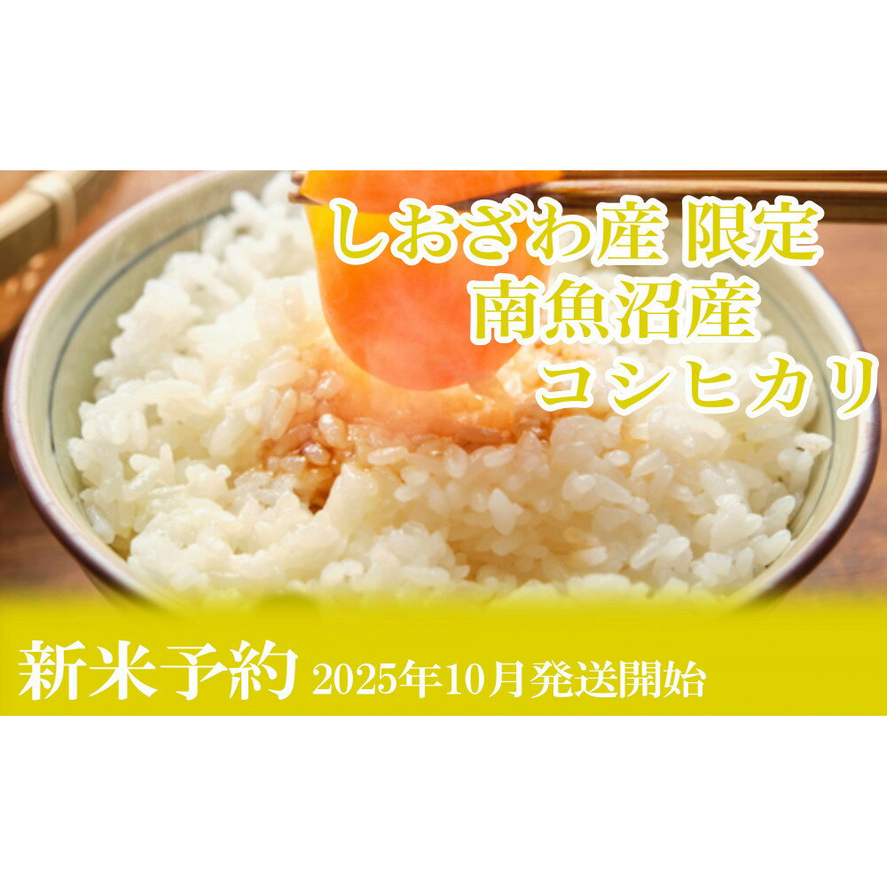 【ふるさと納税】【新米予約・令和7年産】定期便6ヶ月：精米5kgしおざわ産限定 南魚沼産コシヒカリ【2025年10月上旬より順次発送予定】 | お米 こめ 白米 コシヒカリ 食品 人気 おすすめ 送料無料 魚沼 南魚沼 南魚沼市 新潟県産 新潟県 精米 産直 産地直送 お取り寄せ