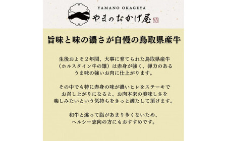 鳥取県産牛ヒレの角切りステーキ600ｇお肉 肉 牛肉 和牛 鳥取和牛 牛肉 肉 国産 お肉 冷凍牛肉 ヒレ 肉 牛肉 ヒレ 和牛 ヒレステーキ ヒレ ステーキ 牛肉