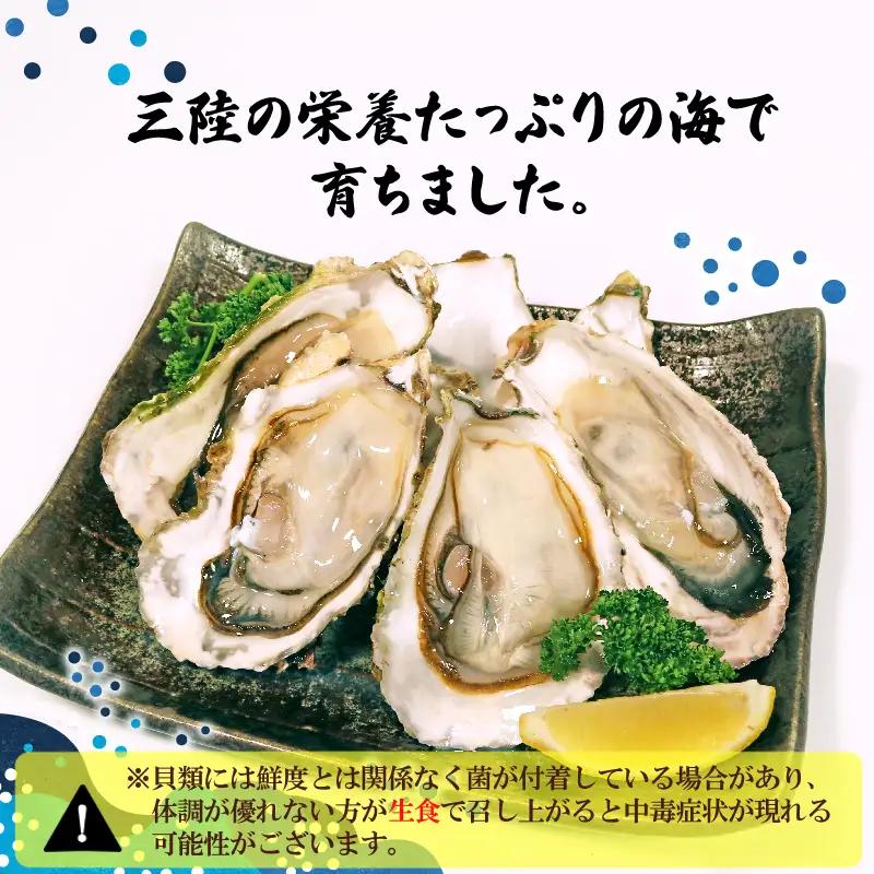 訳あり 生食 殻付き 牡蠣 1kg  冷凍 ＼ 牡蠣 ／ 冷凍