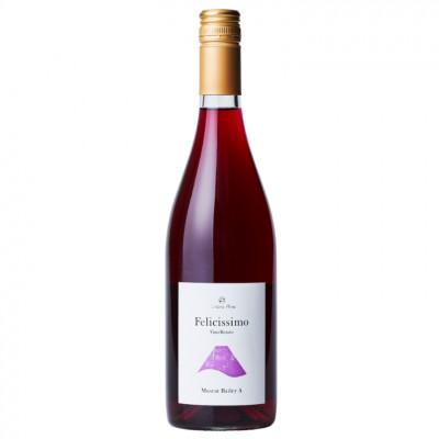 ふるさと納税 山梨市 カンティーナ・ヒロ【フェリチッシモ ヴィーノロザート マスカットベーリーA NV】ロゼ750ml1本