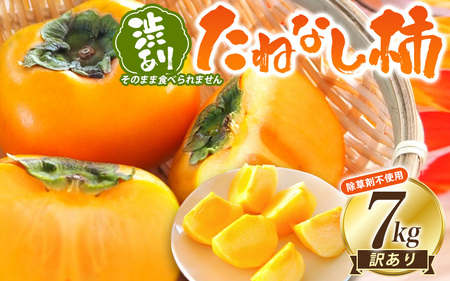【訳あり・ご家庭用】たねなし柿「渋あり」約訳あり 7kg【9月下旬～11月上旬頃順次発送】【CD-wann004】