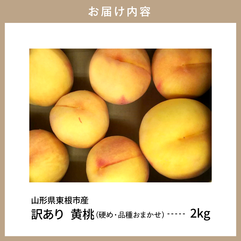 【2025年産　先行予約】黄桃 品種おまかせ 訳あり2kg(硬め) 山形県 東根市　hi004-hi062-028-2_イメージ4