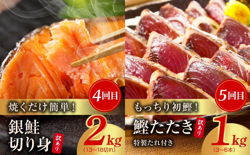 海鮮食べ比べ 定期便 全5回 総量6kg以上【サーモン ブラックタイガー 銀鱈 銀鮭 鰹 訳あり サイズ不揃い 小分け 惣菜】 kgpZ018