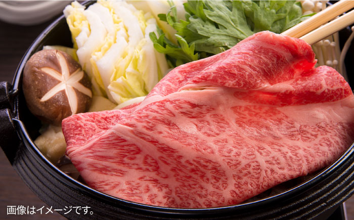 【6回定期便】長崎県産 和牛 肩ロース スライス 500g / すき焼き / しゃぶしゃぶ / 南島原市 / 高田牧場 [SDB009]