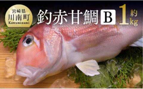 『釣赤甘鯛 Ｂ』【鮮魚 さかな 九州 宮崎 川南町 新鮮 魚介 魚 海の幸 D04409】