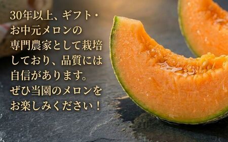 【数量限定】 おいわけメロン 糖度16度以上　1.6kg以上×2玉入【1082977】