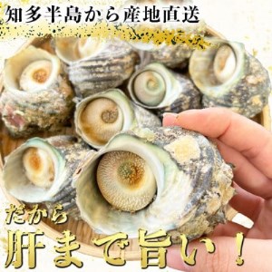 岬だよりの【味付き】温めるだけで本格サザエのつぼ焼き【配送不可地域：離島】【1393351】