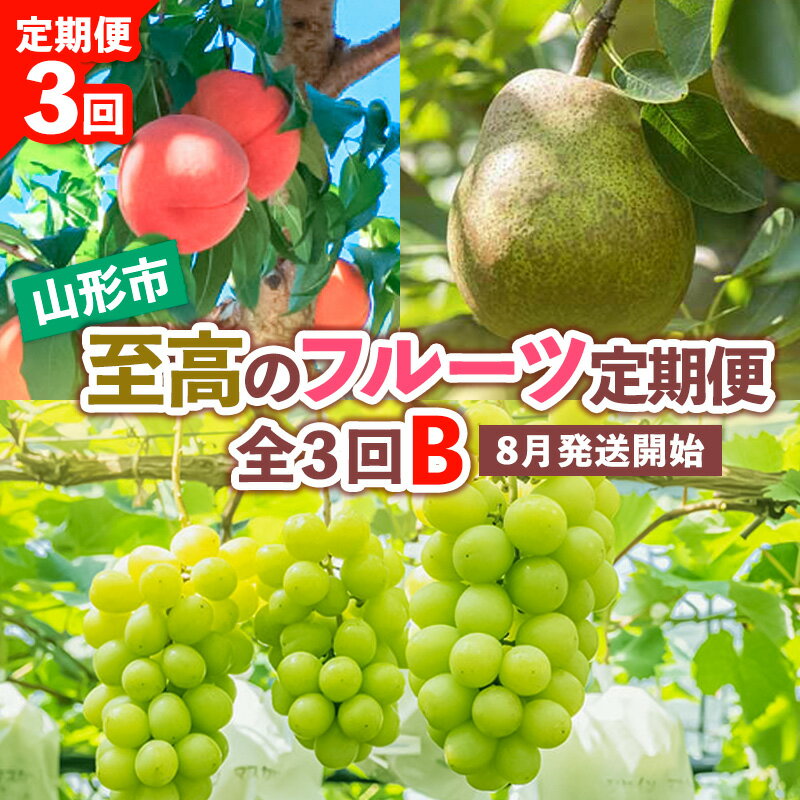 【ふるさと納税】【定期便3回】山形市至高のフルーツ定期便 全3回B 8月発送開始 【令和7年産先行予約】FS24-760