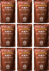 【赤城牛ビーフカレー】ちょっと贅沢な赤城牛ビーフカレー　中辛　180g×9個 カレー ビーフカレー 赤城牛 レトルトカレー 牛肉カレー