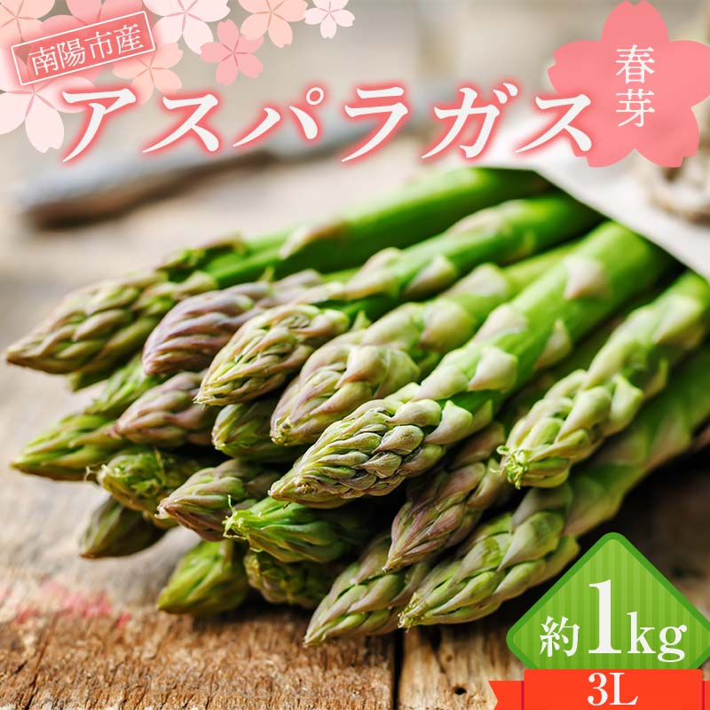 【ふるさと納税】 【令和9年産先行予約】 アスパラガス (春芽) 約1kg (3Lサイズ 約20～25本前後) 《令和9年4月下旬～発送》 『生産者 紺野 幸陽』 グリーン 山形南陽産 農家直送 山形県 南陽市 [2243]