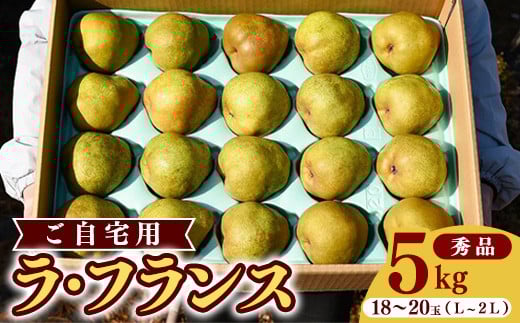 
                  《先行予約》令和8年産 洋梨 ラ・フランス 5kg（18玉 - 20玉）《ご自宅用》 L - 2L 山形県産 【2026年11月頃から12月上旬頃発送予定】　012-B-HK002
                