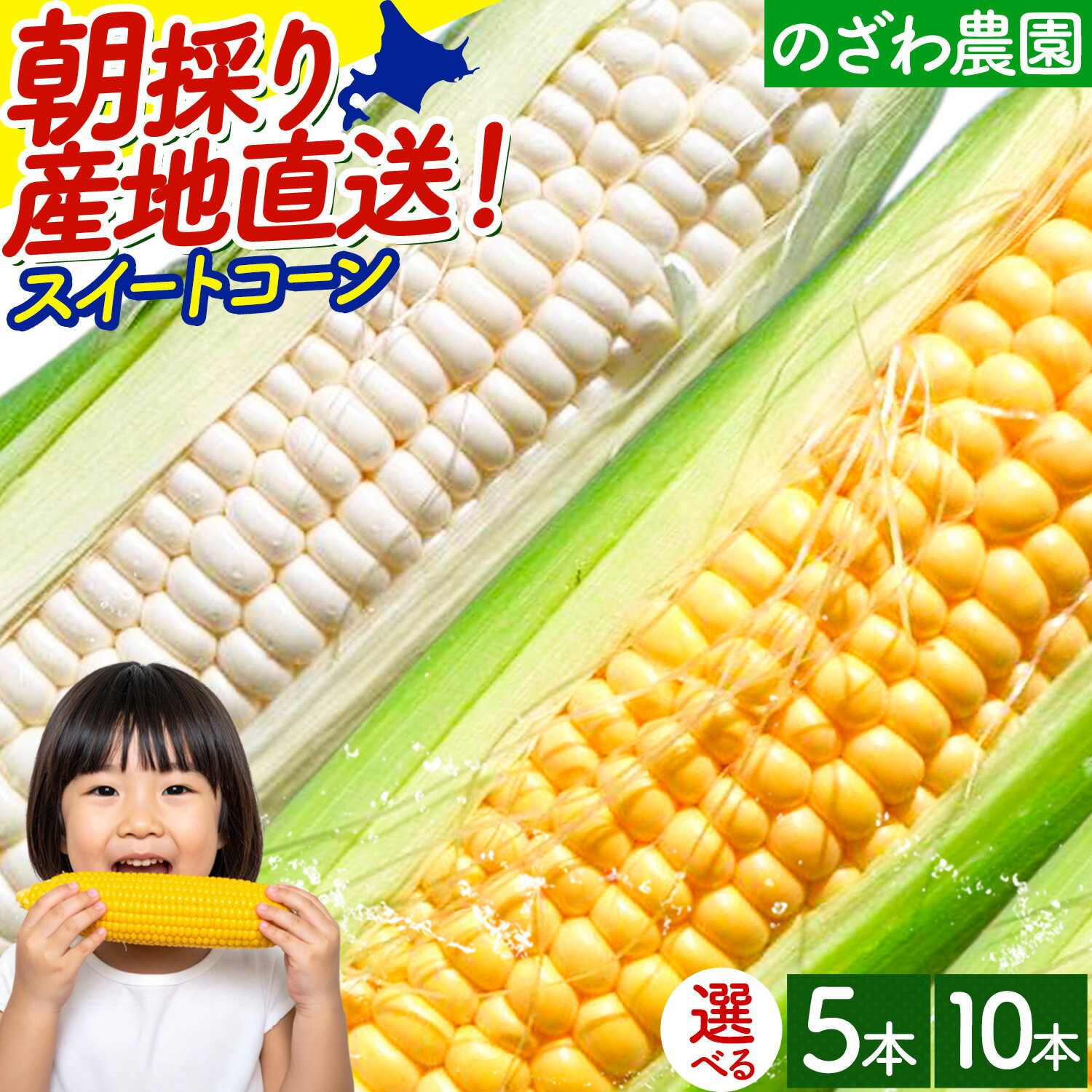 【ふるさと納税】【 2026年発送 先行予約 】とうもろこし スイートコーン 約 5本 2kg 10本 4kg のざわ農園 《2026年8月上旬-9月中旬頃出荷》 とうもろこし コーン とうきび 北海道 日高産 野菜 とうもろこし 北海道コーン 産地直送 旬 野菜 夏野菜 BBQ キャンプ