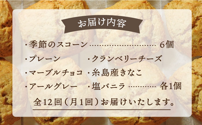 【全12回定期便】【ご自宅用】定番 ＆ 季節 の スコーン 12個セット 糸島市 / スコーン専門店キナフク [AFA017]