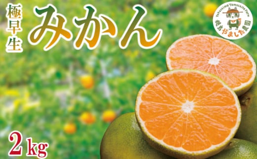 【2025年9月順次発送】 極早生みかん2kg  みかん 温州みかん 極早生 早生 完熟 柑橘 果物 フルーツ 国産 新鮮 【北海道、東北、離島、沖縄配送不可】
