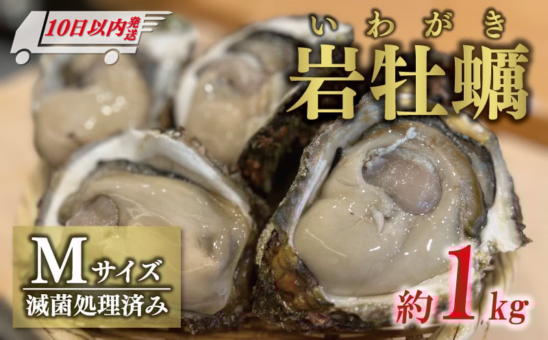 
            【10日以内発送】 岩牡蠣 Ｍサイズ 約 1kg （4～5個） 10000円 いわがき 殻付き 岩がき 殻付 岩カキ 岩かき かき カキ オイスター 大粒 肉厚 カキフライ 焼き牡蠣 蒸し牡蠣 焼きがき ミルク ソテー 酒蒸し バーベキュー などに 冷蔵 国産 産地直送 期間限定 数量限定 夏 季節限定 特産品 魚介 養殖 人気 贈答 プレゼント ギフト 土産 お取り寄せ 上甲商会 愛南町 愛媛県
          