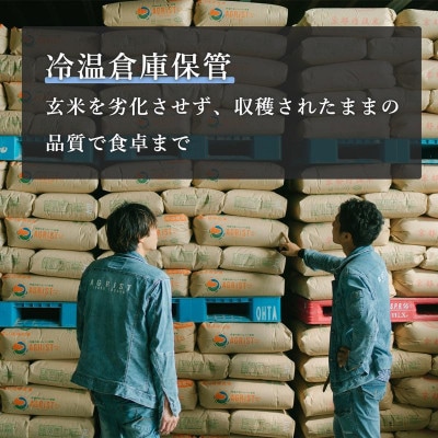 令和8年新米　京都与謝野町産エナジーこしひかり精米5kg×4袋　農家直送