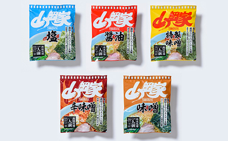 ラーメン山岡家 選べる10食セット 5つの味から選べます 北海道南幌町 札幌麺匠 【乾麺】 国産 インスタント NP1-346