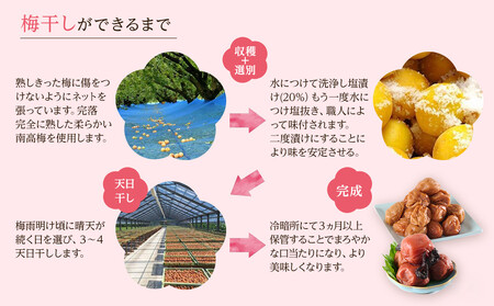 無選別 和歌山の完熟南高梅 味が染み込んだ梅干し はちみつ味 500g 塩分10％ [定期便 毎月発送・全12回]