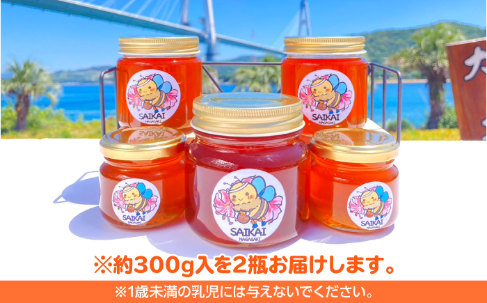 【希少な日本ミツバチ】 国産 蜂蜜 約600g（約300g×2瓶） ～西海からの贈り物～＜おばま養蜂農園＞ [CFY002]  長崎 西海 蜂蜜 はちみつ ハチミツ 蜂蜜 はちみつ ハチミツ 国産蜂蜜