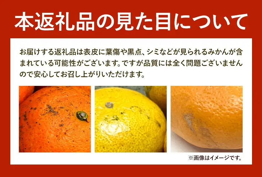 日高川町産みかん 約10kg 2S-M サイズおまかせ マル二