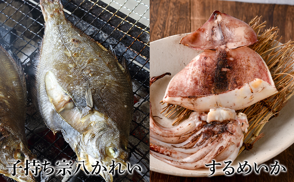 2ヶ月に1度 定期便 全6回 低温熟成 一夜干し お楽しみ 詰め合わせ