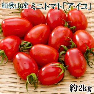 【4月出荷分】和歌山産ミニトマト「アイコトマト」約2kg（S・Mサイズおまかせ）　※北海道、沖縄、離島への配送不可　※2025年4月上旬～4月下旬頃に順次発送予定