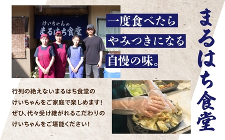 鶏ちゃん発祥の名店「まるはち食堂」こだわり抜かれた下呂の味！！けいちゃん 480g×5（約15人前）冷凍  味付き 焼くだけ【48-2】
