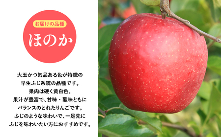 １０月発送　贈答用ほのか10ｋｇ　【そと川りんご園・１０月・青森県産・平川市・りんご・ほのか・10ｋｇ・贈答用】