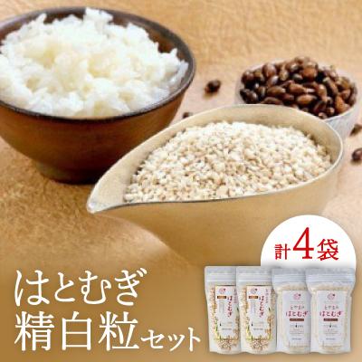 ふるさと納税 小矢部市 はとむぎ精白粒セット(大粒200g×2袋、砕粒500g×2袋)