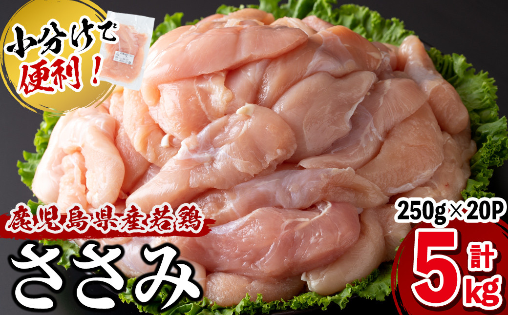 
            【発送時期が選べる】小分けで便利！鹿児島県産若鶏ささみ 計5kg(250g×20P) a5-258
          