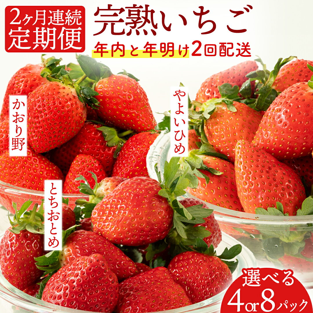 【ふるさと納税】【12月&1月】 全2回 定期便 採れたて完熟いちご 260g×2パック 4パック×2回 2ヶ月 かおり野 とちおとめ やよいひめ 国産 イチゴ 苺 年内 年末 年始