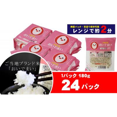 ふるさと納税 観音寺市 【讃岐ご当地ブランド米】おいでまい　無菌パックご飯180g×24個セット(KA-67)保存食小分け