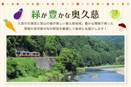 新鮮 奥久慈産 旬の野菜詰め合わせ 季節 セット 【野菜】【ho0871】