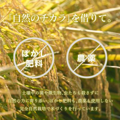 ふるさと納税 足利市 のりちゃん米 白米 (にじのきらめき) 1kg<栽培期間中 農薬・肥料不使用> |  | 02