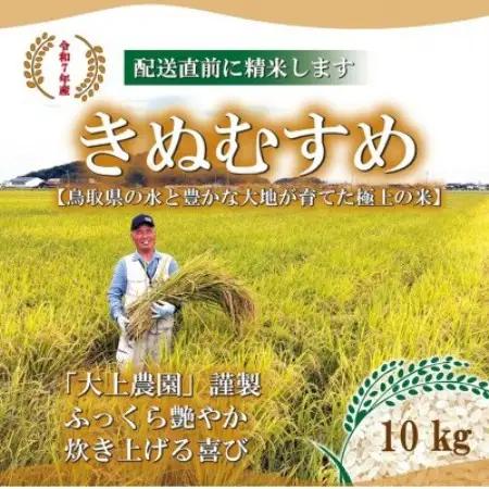 【特Aランク】令和7年産　大上農園きぬむすめ精米 10kg【1725212】